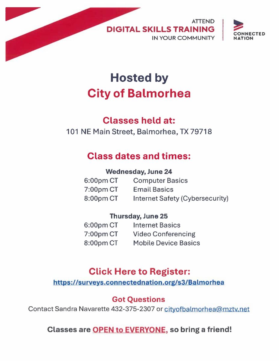 Digital Skills Training flyer