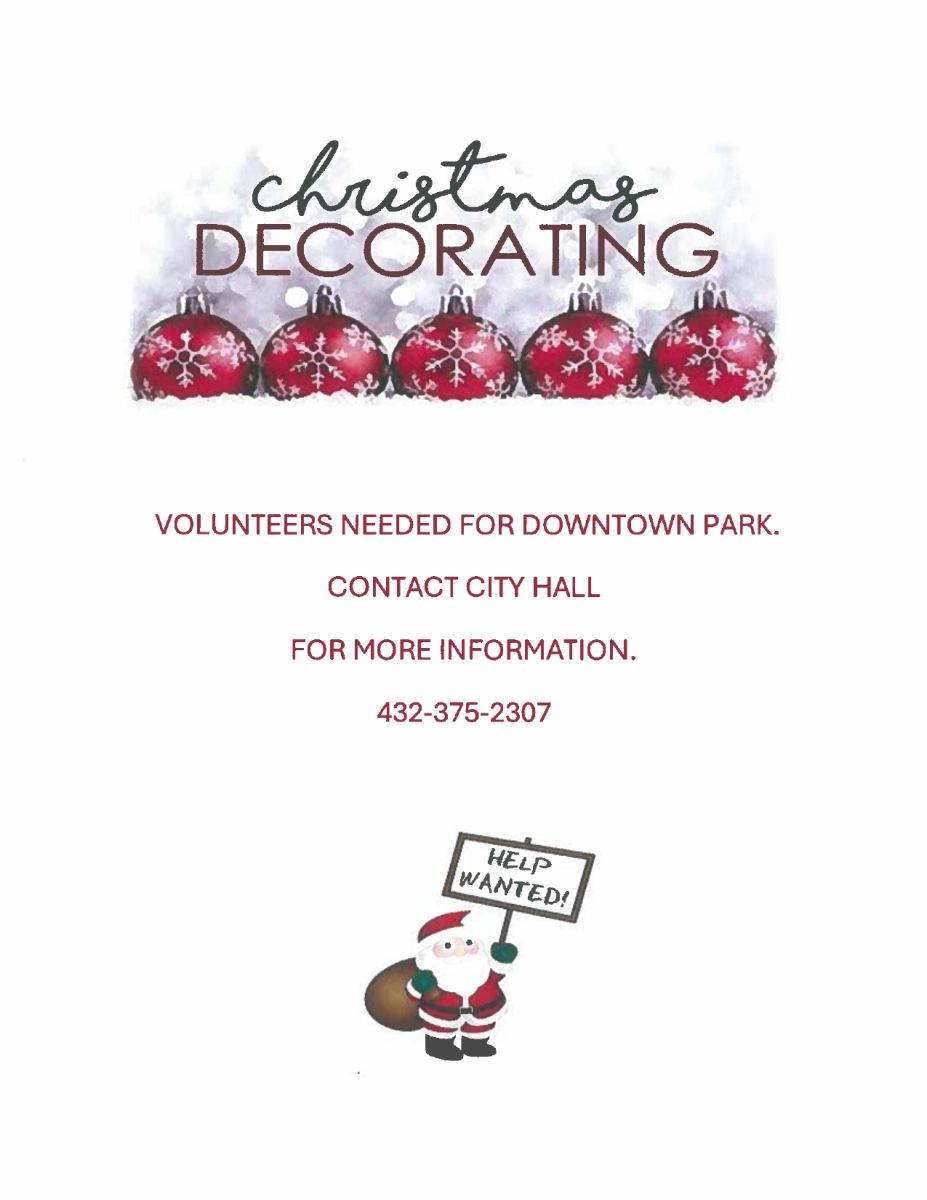 Link to Christmas Decoration Flyer
